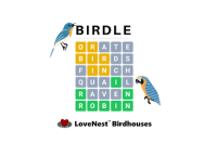 Birdle Game